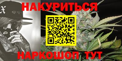 сатива Будённовск
