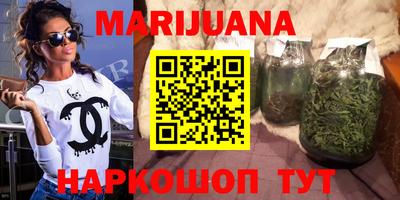 сатива Будённовск