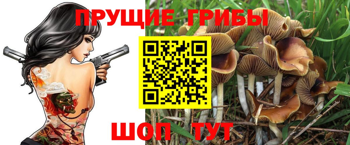 Галлюциногенные грибы MAGIC MUSHROOMS Аксай